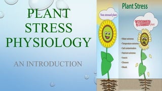 PLANT
STRESS
PHYSIOLOGY
AN INTRODUCTION
 