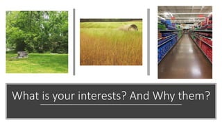 What is your interests? And Why them?
 