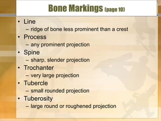 intro-terms.ppt