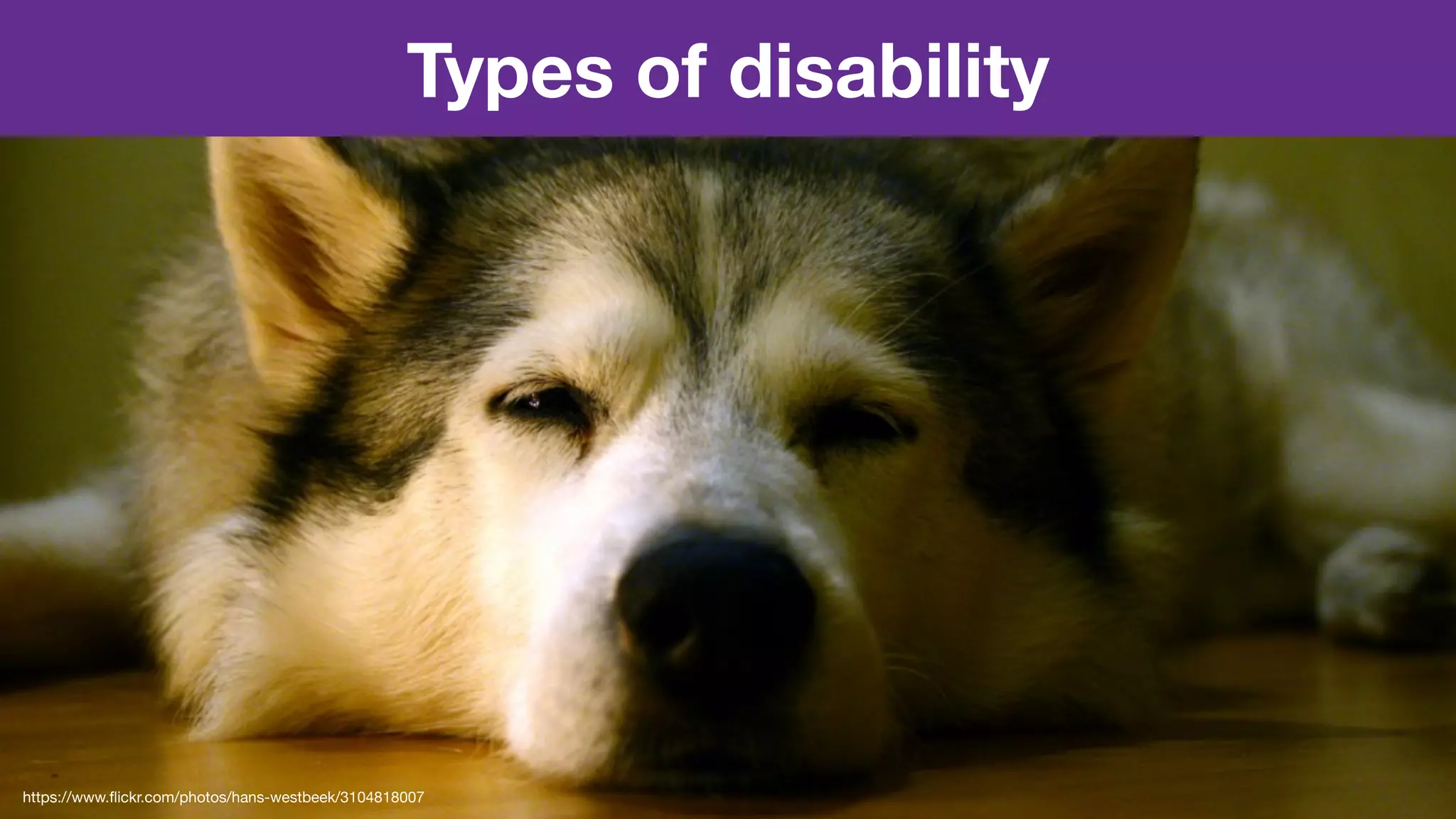 Types of disability
https://www.ﬂickr.com/photos/hans-westbeek/3104818007
 
