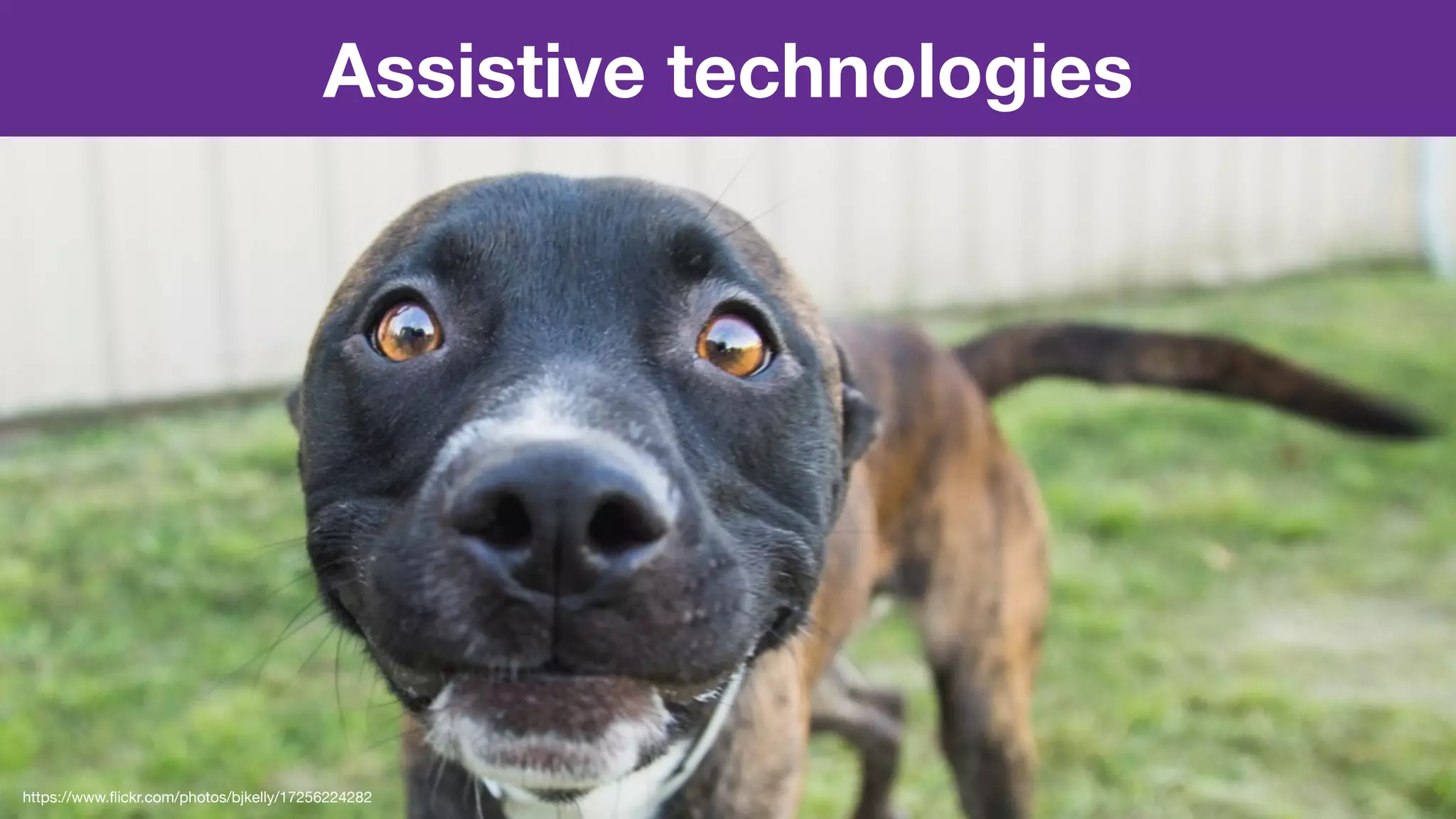 Assistive technologies
https://www.ﬂickr.com/photos/bjkelly/17256224282
 