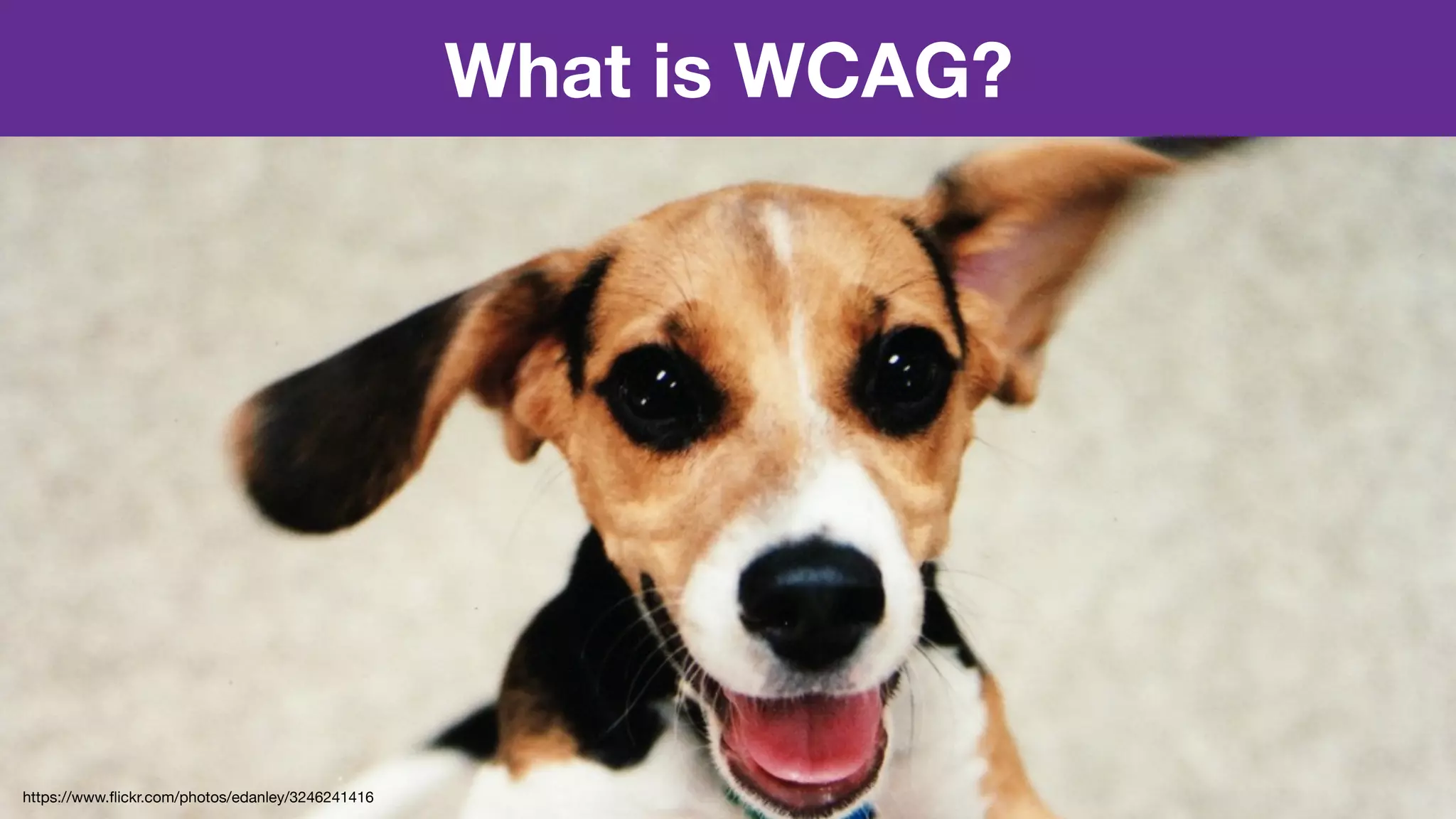 What is WCAG?
https://www.ﬂickr.com/photos/edanley/3246241416
 