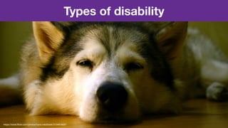 Types of disability
https://www.ﬂickr.com/photos/hans-westbeek/3104818007
 