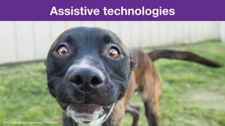 Assistive technologies
https://www.ﬂickr.com/photos/bjkelly/17256224282
 