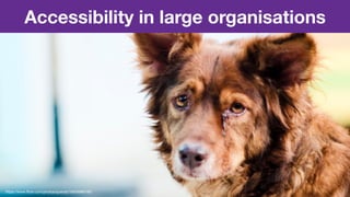 Accessibility in large organisations
https://www.ﬂickr.com/photos/quandc/16426960180
 