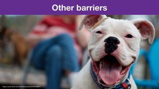 Other barriers
https://www.ﬂickr.com/photos/kakissel/5484265811
 