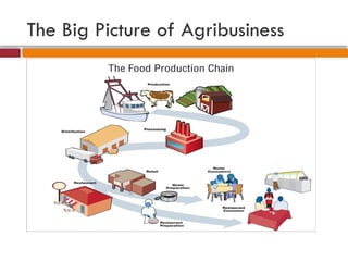 The Big Picture of Agribusiness
 