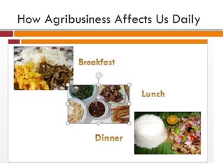 How Agribusiness Affects Us Daily
 
