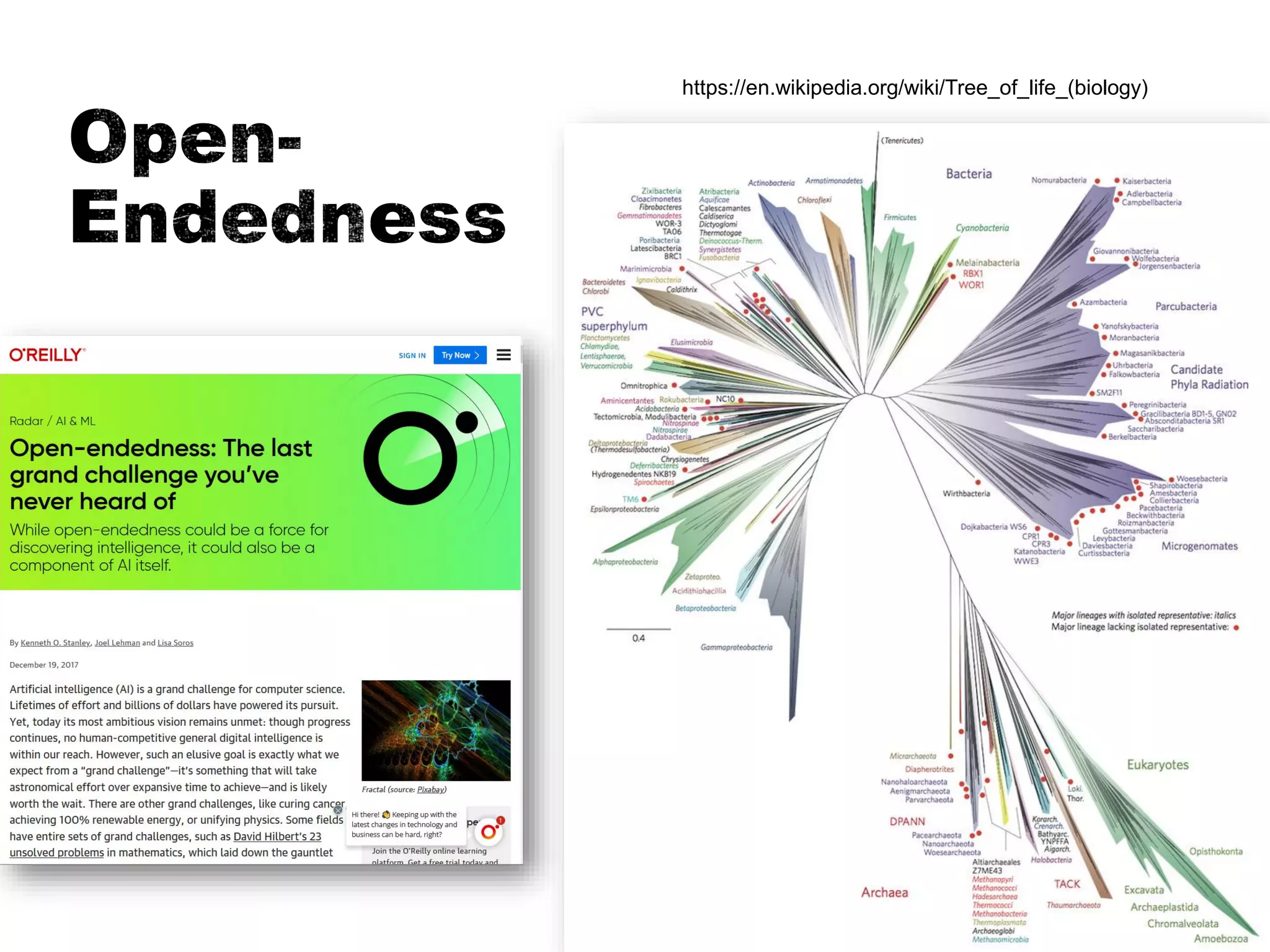 63
https://en.wikipedia.org/wiki/Tree_of_life_(biology)
 