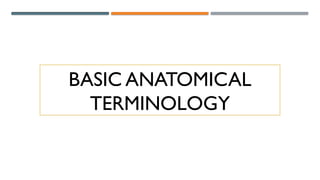 BASIC ANATOMICAL
TERMINOLOGY
 