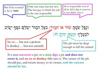 Intro to Bava Kamma Notes | PPS