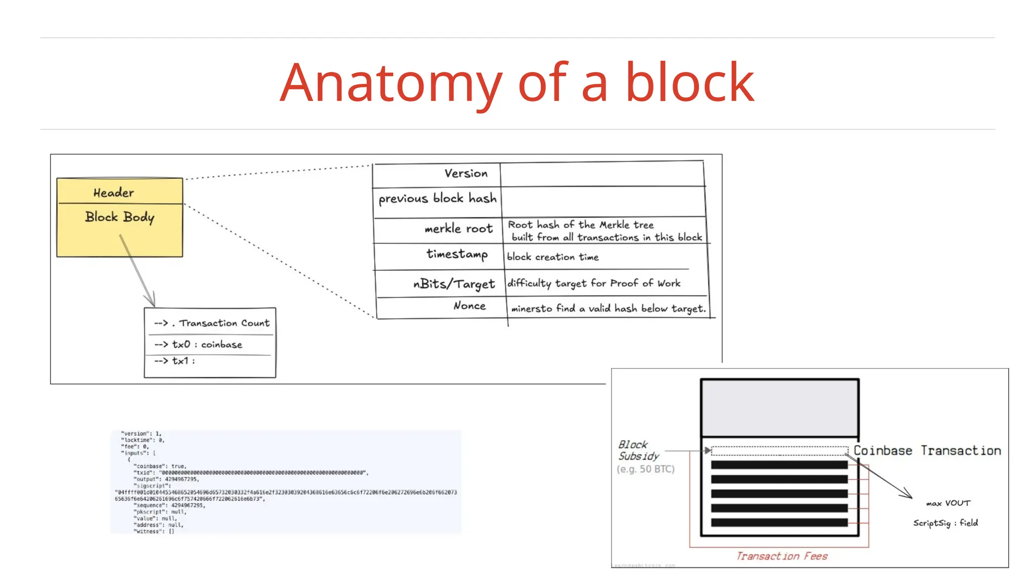 Anatomy of a block
 