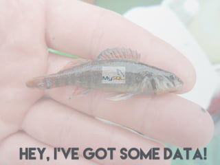 Hey, I’ve got some data!
 