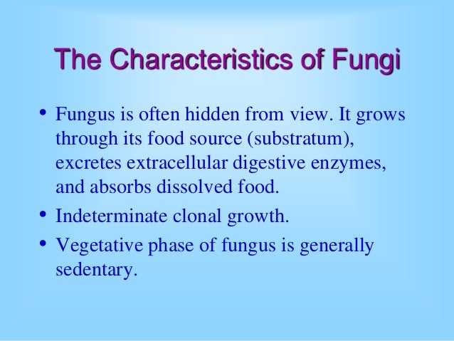 Intro-to-Fungi-Presentation.ppt
