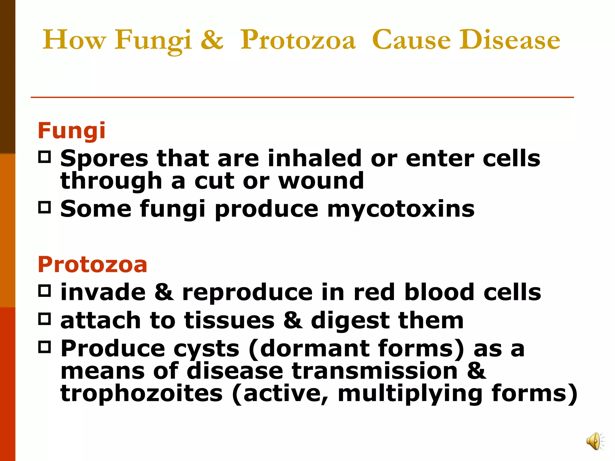 How Fungi &  Protozoa  Cause Disease Fungi Spores that are inhaled or enter cells through a cut or wound Some fungi produce mycotoxins Protozoa invade & reproduce in red blood cells attach to tissues & digest them Produce cysts (dormant forms) as a means of disease transmission & trophozoites (active, multiplying forms) 