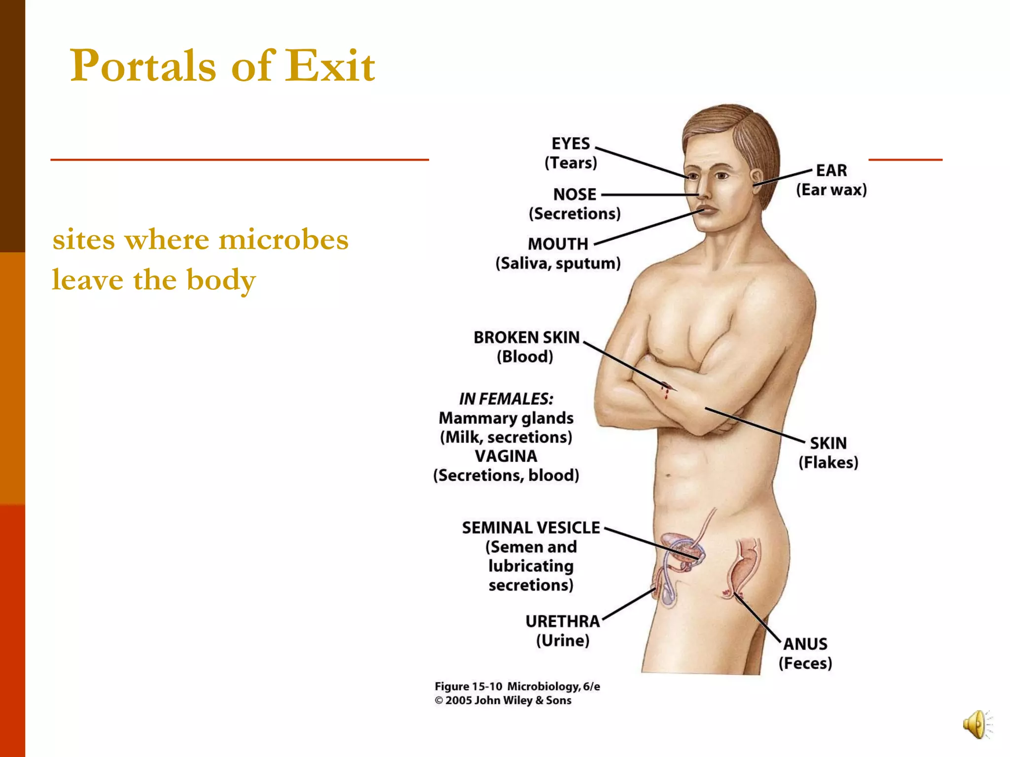 Portals of Exit sites where microbes leave the body 