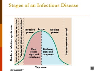 Stages of an Infectious Disease 