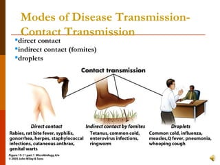 Modes of Disease Transmission- Contact Transmission direct contact indirect contact (fomites) droplets 
