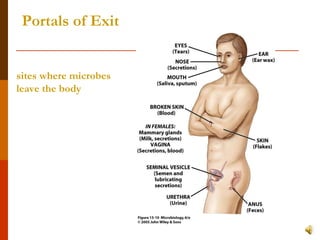 Portals of Exit sites where microbes leave the body 