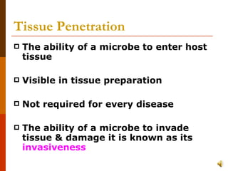 Tissue Penetration   The ability of a microbe to enter host tissue Visible in tissue preparation Not required for every disease The ability of a microbe to invade tissue & damage it is known as its  invasiveness 