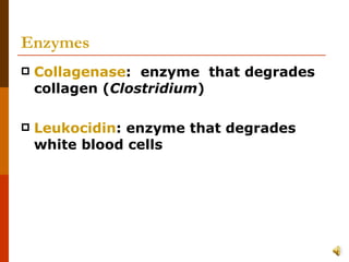 Enzymes Collagenase :  enzyme  that degrades collagen ( Clostridium )  Leukocidin : enzyme that degrades white blood cells 