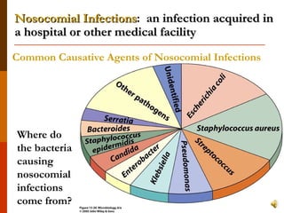 Nosocomial Infections :  a n infection acquired in a hospital or other medical facility Where do the bacteria causing nosocomial infections come from? Common Causative Agents of Nosocomial Infections 