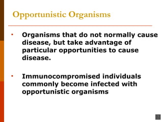 Opportunistic Organisms   Organisms that do not normally cause disease, but take advantage of particular opportunities to cause disease.  Immunocompromised individuals commonly become infected with opportunistic organisms 