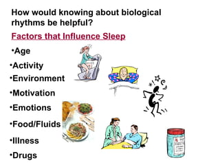 How would knowing about biological   rhythms be helpful? Factors that Influence Sleep Age Motivation Activity Drugs Environment Emotions Food/Fluids Illness 