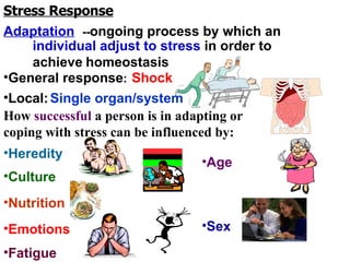 Stress Response Adaptation General response :   Local: How  successful  a person is in adapting or coping with stress can be influenced by: -- ongoing process by which an individual adjust to stress  in order to achieve   homeostasis Shock Single organ/system Heredity Culture Nutrition Emotions Fatigue Age Sex 