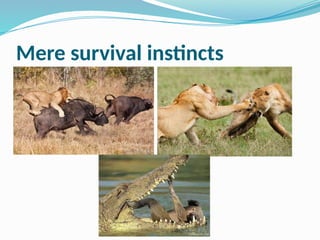 Mere survival instincts
 