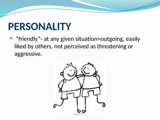 PERSONALITY
 “friendly”- at any given situation=outgoing, easily
liked by others, not perceived as threatening or
aggressive.
 