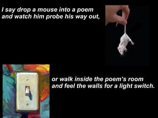 I say drop a mouse into a poem and watch him probe his way out, or walk inside the poems room and feel the walls for a light switch. 