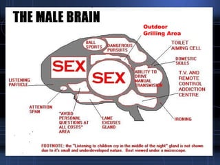 Outdoor Grilling   Area 