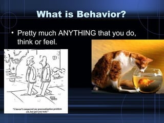 What is Behavior? Pretty much ANYTHING that you do, think or feel. 