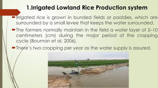 Intro-to-Rice-Production in agriculture .pptx