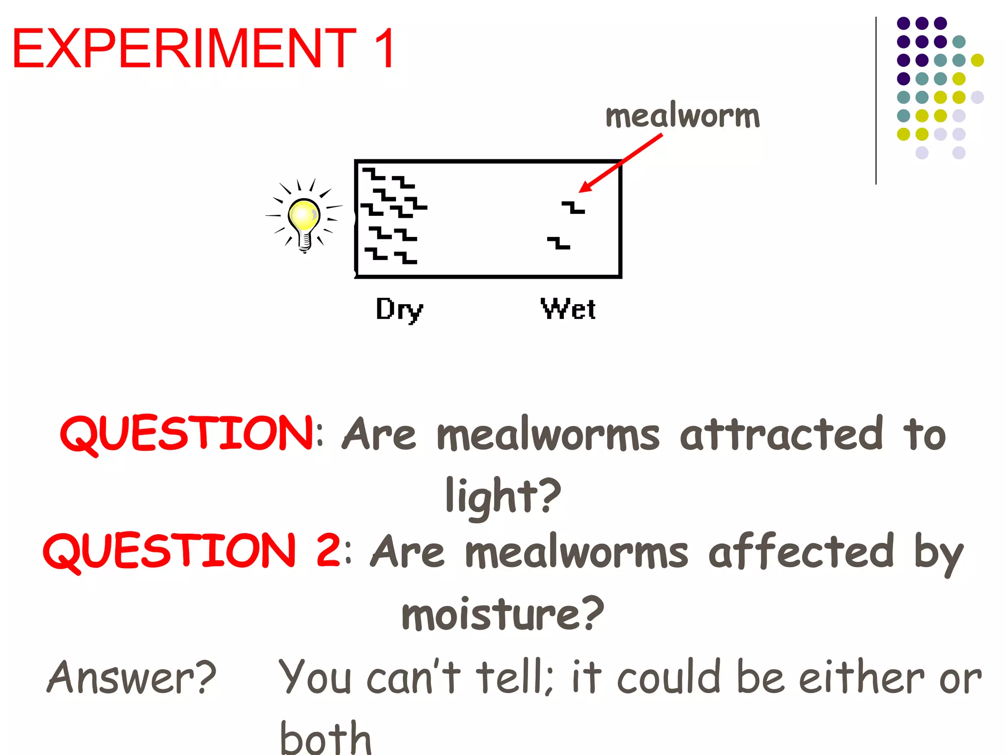 EXPERIMENT 1 QUESTION :  Are mealworms attracted to light? mealworm QUESTION 2 :  Are mealworms affected by moisture? Answer? You can’t tell; it could be either or both 