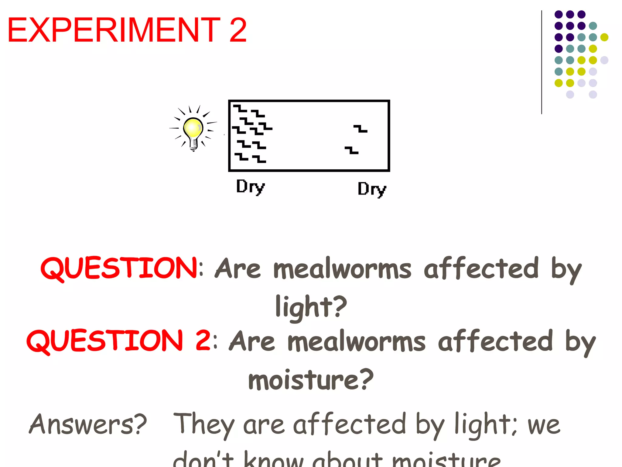 EXPERIMENT 2 QUESTION :  Are mealworms affected by light? QUESTION 2 :  Are mealworms affected by moisture? Answers? They are affected by light; we don’t know about moisture 