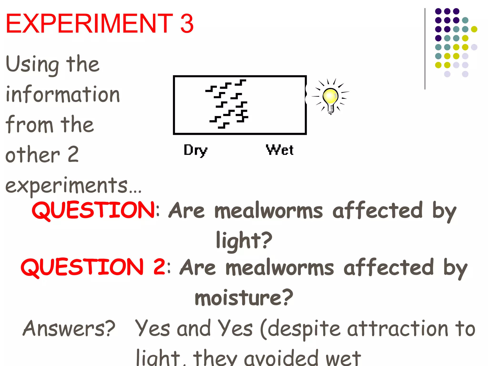 EXPERIMENT 3 QUESTION :  Are mealworms affected by light? QUESTION 2 :  Are mealworms affected by moisture? Using the information from the other 2 experiments… Answers? Yes and Yes (despite attraction to light, they avoided wet 