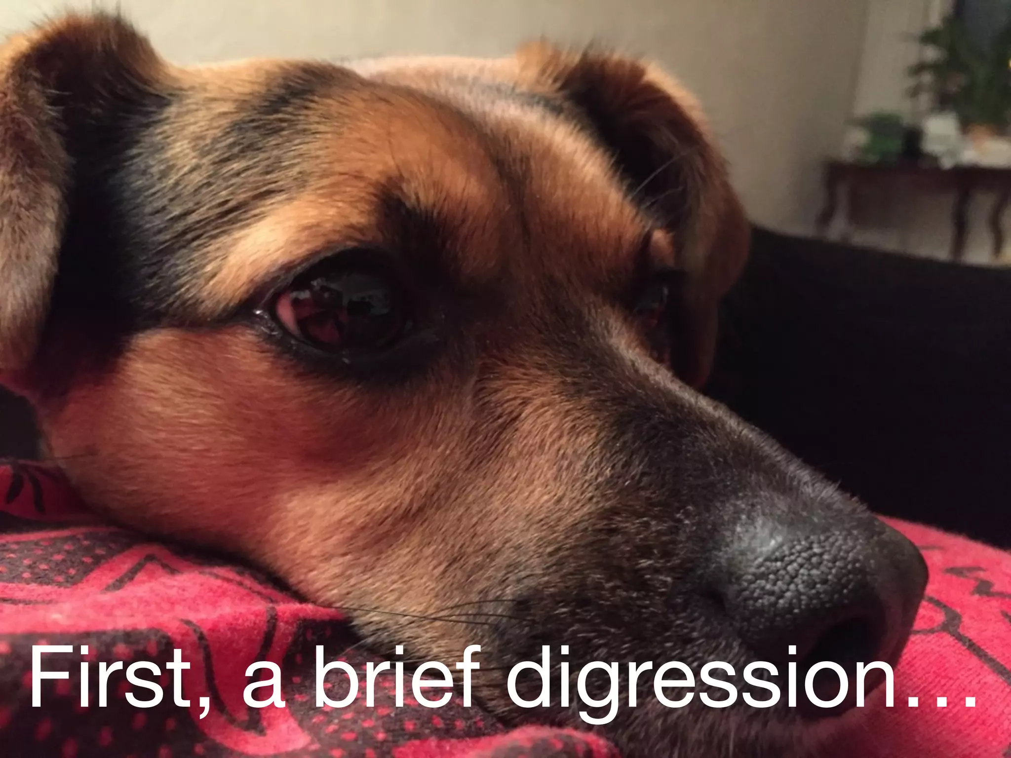 First, a brief digression…
 