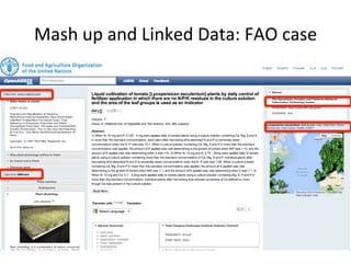 Mash	
  up	
  and	
  Linked	
  Data:	
  FAO	
  case	
  
 