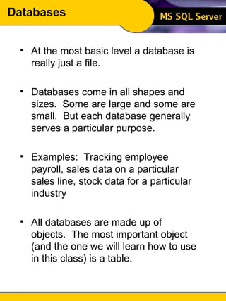 Databases At the most basic level a database is really just a file. Databases come in all shapes and sizes.  Some are large and some are small.  But each database generally serves a particular purpose. Examples:  Tracking employee payroll, sales data on a particular sales line, stock data for a particular industry All databases are made up of objects.  The most important object (and the one we will learn how to use in this class) is a table. 