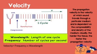 Velocity
Velocity= Frequency x Wavelength
The propagation
velocity is the velocity
at which sound
travels through a
particular medium
and is dependent on
the compressibility
and density of the
medium. Usually, the
harder the tissue, the
faster the
propagation velocity
 