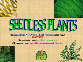 Simple plants- NONVASCULAR -have no  roots, have  RHIZOIDS No leaves, have  leaf-like structures No stems, have  stem-like structures called  stalks SEEDLESS PLANTS 