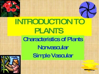 INTRODUCTION TO PLANTS   Characteristics of Plants Nonvascular Simple Vascular 