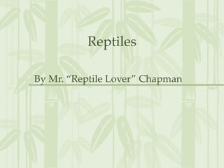 Reptiles

By Mr. “Reptile Lover” Chapman
 