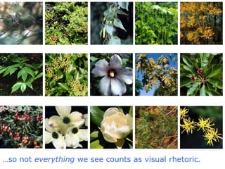 Intro to Visual Rhetoric and Infographics | PPTX