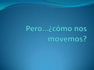 Pero…¿cómo nos movemos? 