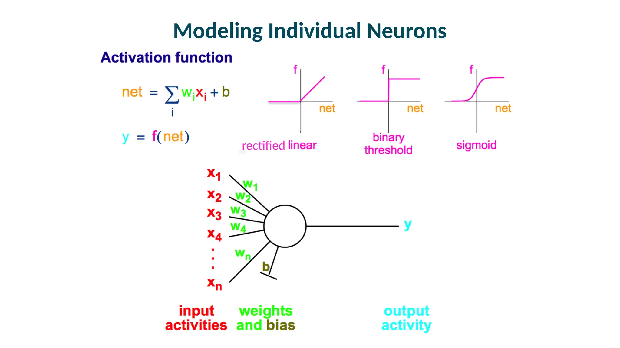 Modeling Individual Neurons
rectified
 