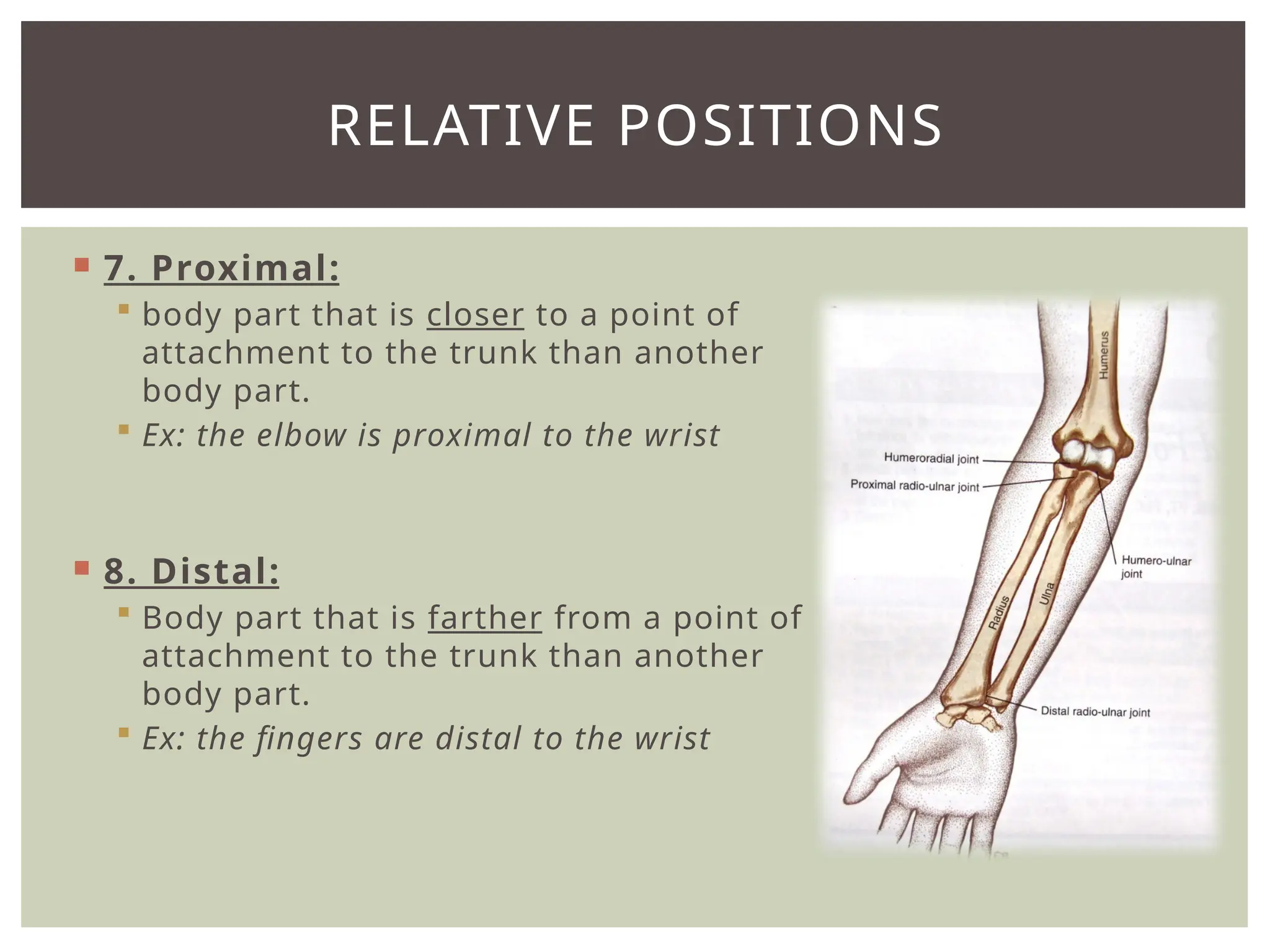 Introduction to Anatomy and Physiology.pptx
