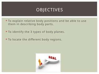 Introduction to Anatomy and Physiology.pptx